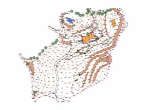 aixecament topografic